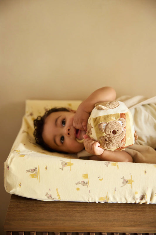 Cube d'activités - Kangaroots