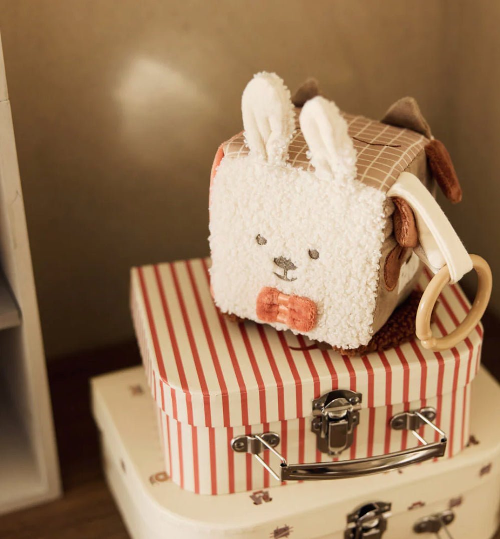 Cube d'Activités - Animal Friends - Les ptites soeurs