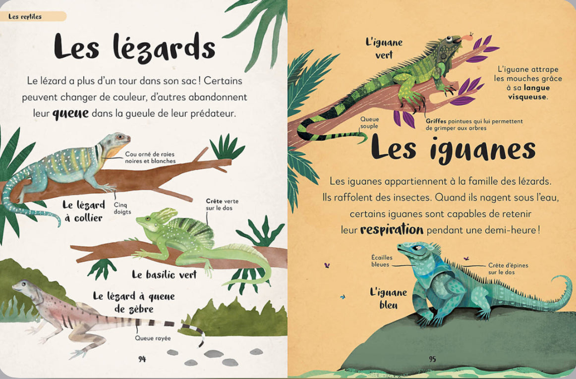 Ma première anthologie des animaux