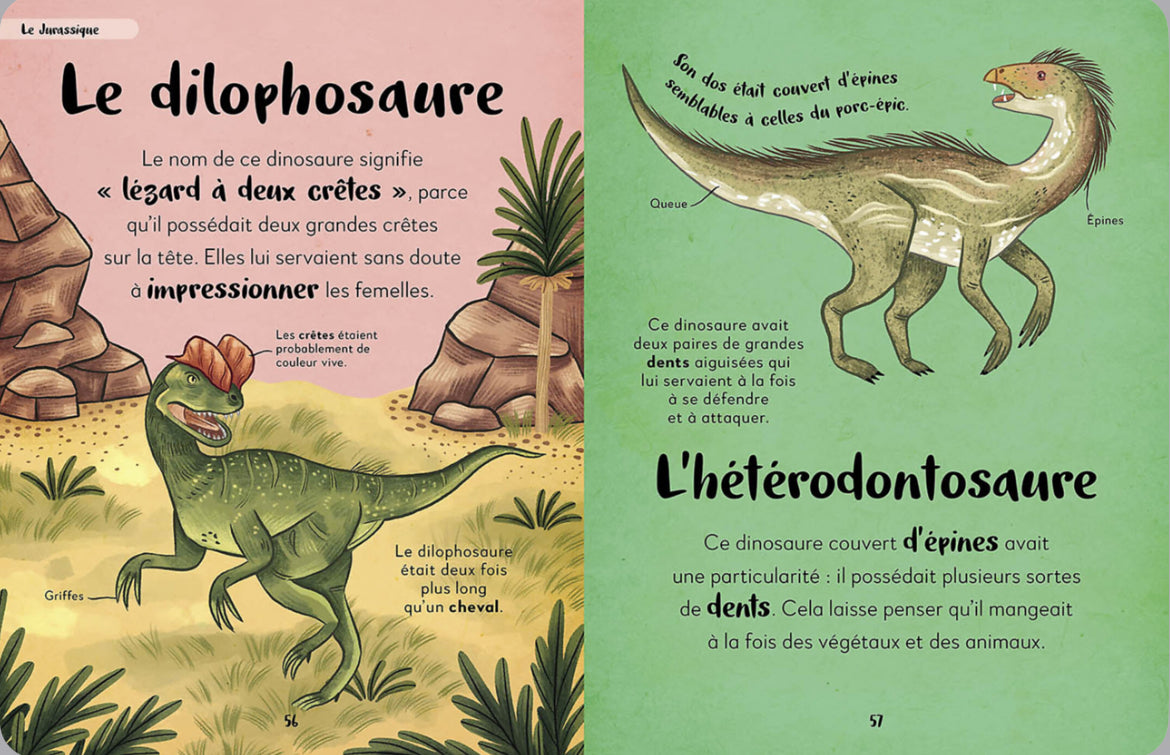 Ma première anthologie des dinosaures