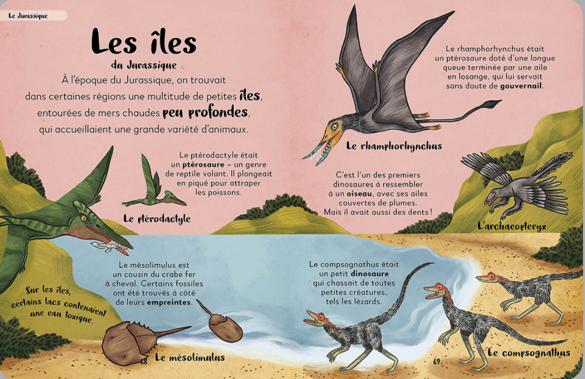 Ma première anthologie des dinosaures