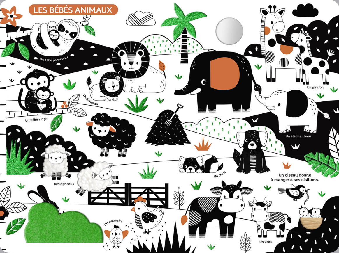 Mon très grand livre d’éveil en noir & blanc