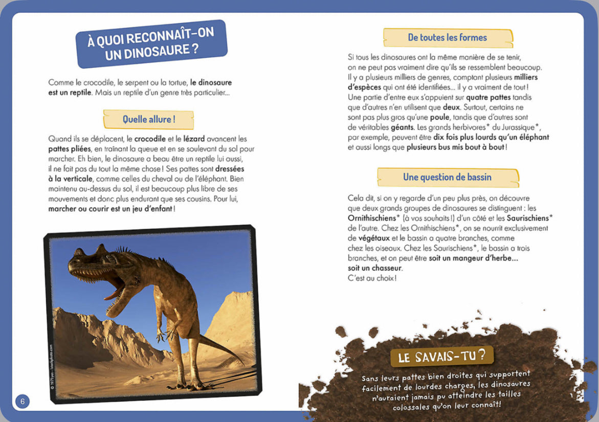 À la découverte des dinosaures