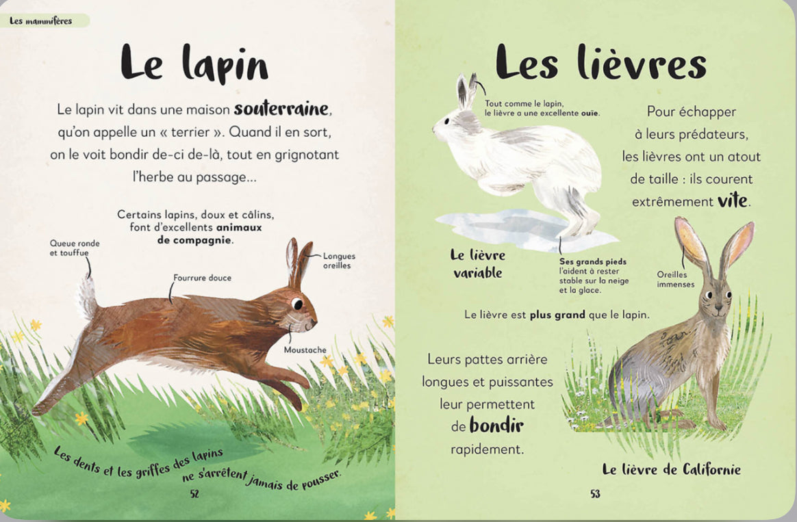 Ma première anthologie des animaux