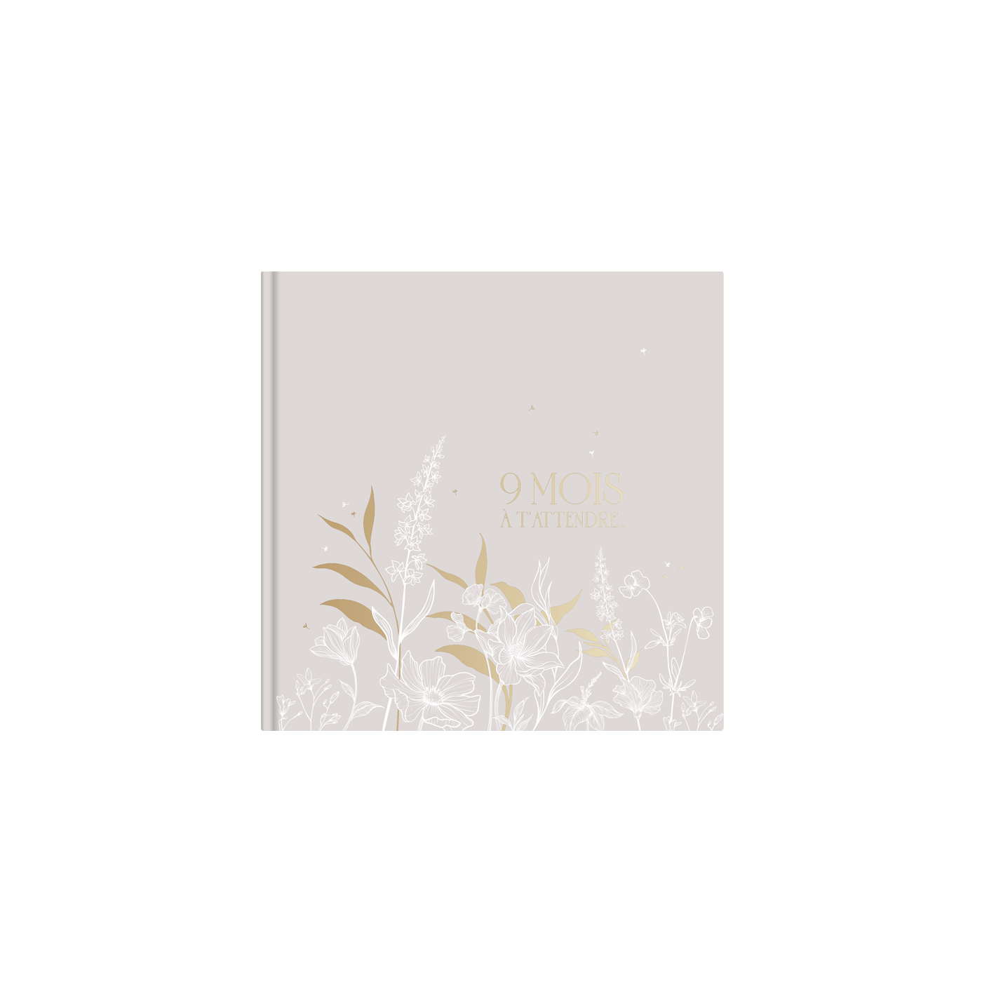 Journal de grossesse - 9 mois à t'attendre - Les ptites soeurs
