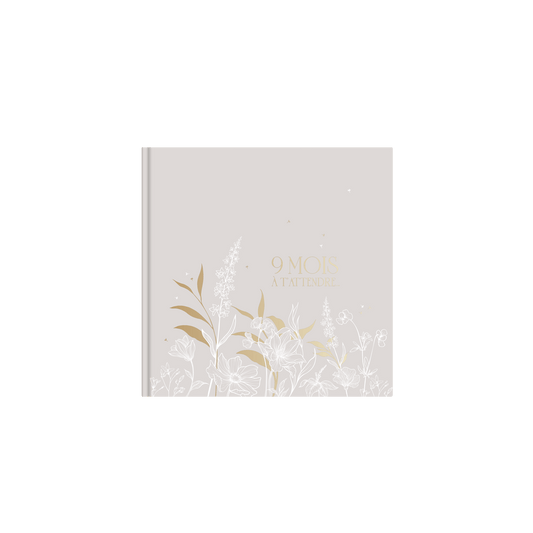 Journal de grossesse - 9 mois à t'attendre - Les ptites soeurs