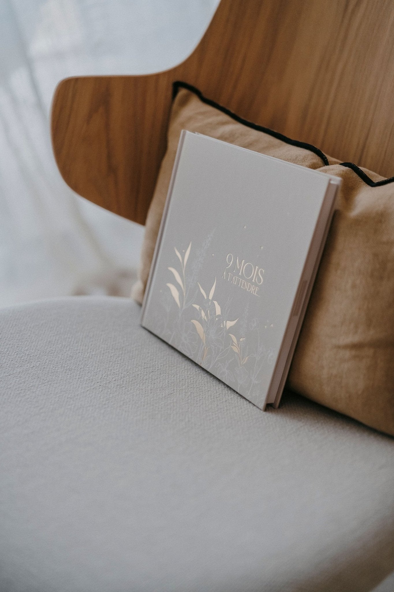 Journal de grossesse - 9 mois à t'attendre - Les ptites soeurs